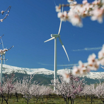 Parque eólico de Iberdrola IBERDROLA