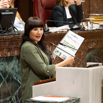 El PSOE reclama al Gobierno regional más protección para los menores frente a los riesgos de las redes sociales