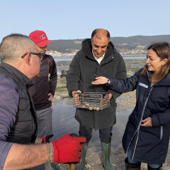 El banco marisquero de Campelo resiste mejor de lo previsto la caída de salinidad tras las lluvias