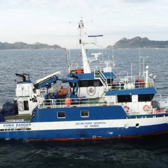 Agricultura lanza la campaña 2026 de anchoa en el Cantábrico y Golfo de Vizcaya con 1.875 toneladas extra Agricultura lanza la campaña 2026 de anchoa en el Cantábrico y Golfo de Vizcaya con 1.875 toneladas extra