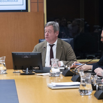 Bingen Zupiria, en su comparecencia ante la Comisión de Seguridad PARLAMENTO VASCO