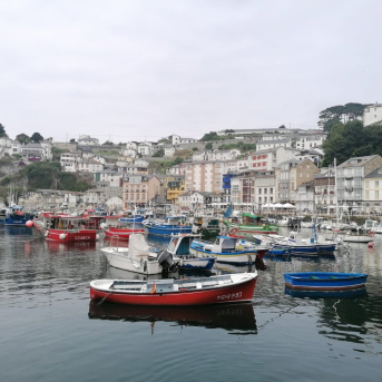 El PP lleva al Parlamento cántabro la grave crisis del verdel