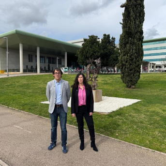 El PSIB reclama la dimisión de la consellera de Salud por el colapso sanitario y rechaza sus disculpas El PSIB reclama la dimisión de la consellera de Salud por el colapso sanitario y rechaza sus disculpas