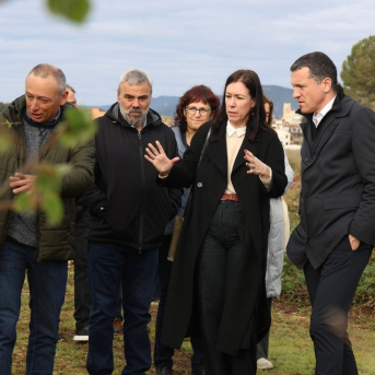 La Generalitat blindará la producción y el futuro del cultivo de la avellana hasta 2028