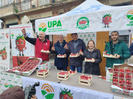 UPA denuncia que la fresa se paga hasta cinco veces más cara en el súper que al agricultor