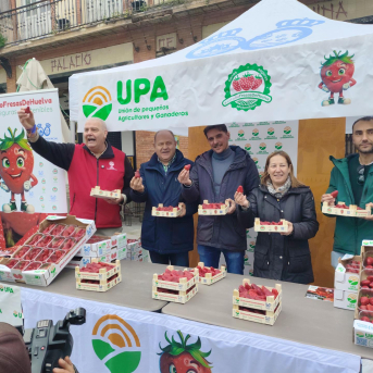 UPA denuncia que la fresa se paga hasta cinco veces más cara en el súper que al agricultor