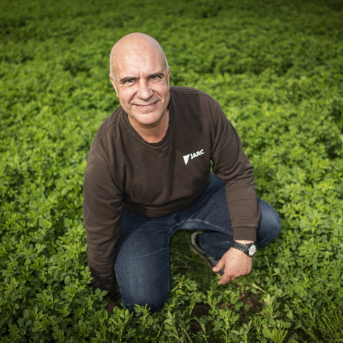 Jarc reclama ayudas por el encarecimiento de exportar alfalfa a Oriente Medio