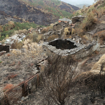 Democracia Ourensana exige un plan urgente contra los incendios y el PP defiende que la Xunta ya actúa en tiempo y forma
