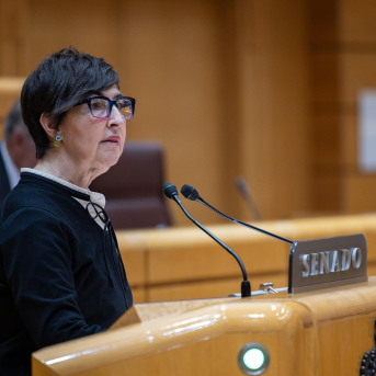 La senadora del PNV María Dolores Etxano interviene durante una sesión plenaria, en el Senado, a 16 de diciembre de 2025, en Madrid (España).  Ananda Manjón - Europa Press