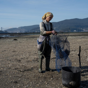 Mar aprueba la norma que regula la gestión de los excedentes de marisco Mar aprueba la norma que regula la gestión de los excedentes de marisco