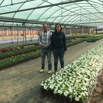 La Diputación de Cáceres abre el plazo para que los pueblos pidan plantas del vivero y adornen sus espacios públicos