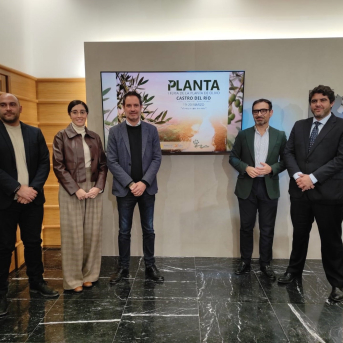 Castro del Río se consolida como referente viverístico con la I Feria de la Planta de Olivo Castro del Río se consolida como referente viverístico con la I Feria de la Planta de Olivo