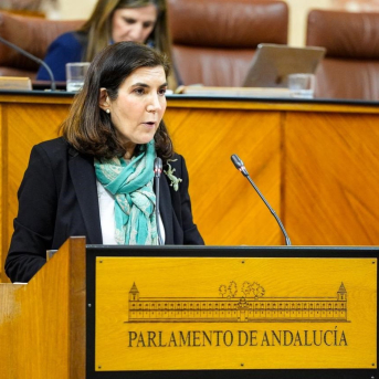 Empleo defiende para 2025 medidas de 160 millones que beneficiarán a más de 166.000 andaluzas