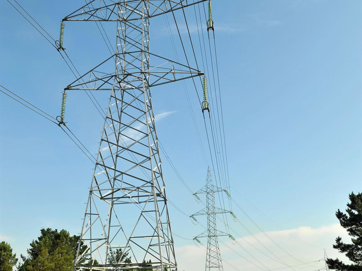 Electric grid NATURGY