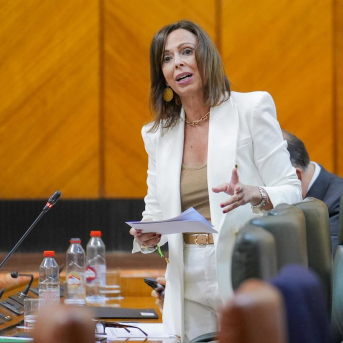 La Junta sacará a concurso en breve la nueva vía entre los polígonos de Alcalá la Real