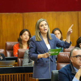 PSOE-A desafía a Moreno a que la Junta se persone como acusación por la negligencia en los cribados PSOE-A desafía a Moreno a que la Junta se persone como acusación por la negligencia en los cribados