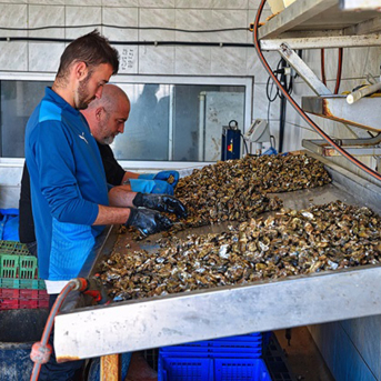 Sindicatos y patronal sellan un preacuerdo clave en el convenio de elaborados de productos del mar