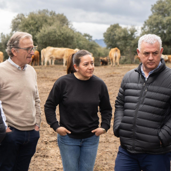 La Diputación de Guadalajara lanzará nuevas ayudas para collares de vallado virtual en explotaciones ganaderas