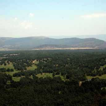 Monte de Valonsadero (Soria). AYTO. SORIA