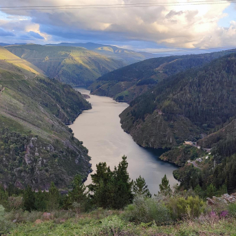 Comienza la temporada de pesca de trucha en los ríos asturianos Comienza la temporada de pesca de trucha en los ríos asturianos