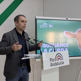 Valero insta a Moreno a que el PP avale en el Congreso el decreto de borrascas por su impacto clave en Andalucía Valero insta a Moreno a que el PP avale en el Congreso el decreto de borrascas por su impacto clave en Andalucía