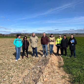 UAGN exige al Gobierno de Navarra actuar ante la plaga de conejos que destruye cultivos y deja desprotegido al campo