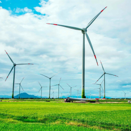 Imagen de molinos eólicos. TEMPOS ENERGÍA.