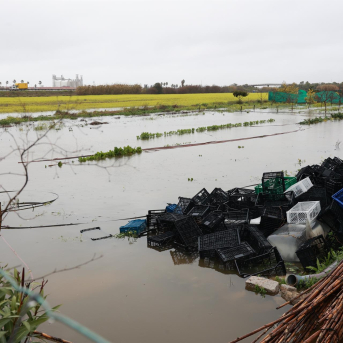 Cooperativas Agroalimentarias critica que el Ministerio deje sin ayudas al 28% de los municipios andaluces afectados Cooperativas Agroalimentarias critica que el Ministerio deje sin ayudas al 28% de los municipios andaluces afectados