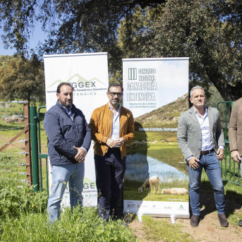 La Diputación acogerá un congreso clave sobre los desafíos actuales y futuros de la ganadería extensiva La Diputación acogerá un congreso clave sobre los desafíos actuales y futuros de la ganadería extensiva