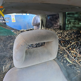 Asaja Ciudad Real exige mayor dureza judicial ante los robos organizados de aceituna