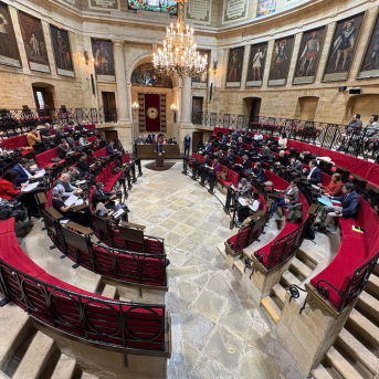 Las Juntas de Bizkaia reclaman un estudio para detectar factores de riesgo en salud mental