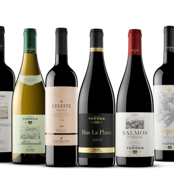 Familia Torres arrasa en Mundus Vini con tres Best of Show y ocho oros