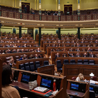 El Congreso pide al Gobierno que admita el sesgo machista en campañas de acoso contra comunicadoras feministas