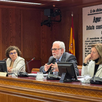 Medicina intensiva reclama en el Senado más personal y recursos para las UCI