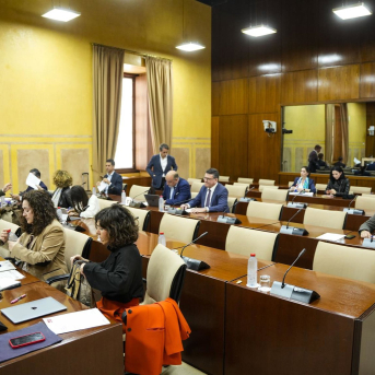 El Parlamento andaluz tumba la propuesta del PSOE-A para que la Junta se persone en los casos penales por los fallos en los cribados de cáncer de mama