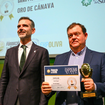 La Estrategia Andaluza del Olivar ya tiene ejecutadas seis de cada diez medidas previstas