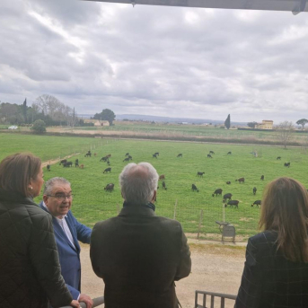 Rincón apoya la apuesta innovadora de Quesos La Pardina con su nuevo kéfir de cabra Rincón apoya la apuesta innovadora de Quesos La Pardina con su nuevo kéfir de cabra