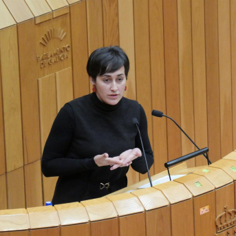 El BNG reprocha a la Xunta dejar desprotegido al sector ante la caída del precio de la leche y el aumento de costes