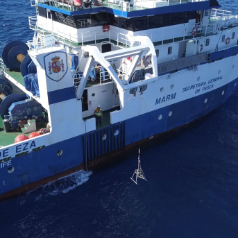 El Gobierno lanza una campaña para medir la población de bacaladilla en el caladero de Porcupine en Irlanda El Gobierno lanza una campaña para medir la población de bacaladilla en el caladero de Porcupine en Irlanda