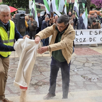 El sector arrocero extremeño vuelca arroz ante la Delegación del Gobierno para denunciar su situación crítica El sector arrocero extremeño vuelca arroz ante la Delegación del Gobierno para denunciar su situación crítica