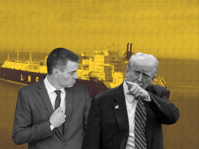 WhatsApp Image 2026 03 12 at 14.23.30 (1)