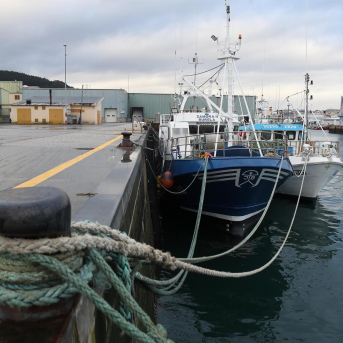 Las cofradías reclaman al Gobierno nuevas medidas anticrisis al no adaptarse las actuales al sector del mar Las cofradías reclaman al Gobierno nuevas medidas anticrisis al no adaptarse las actuales al sector del mar