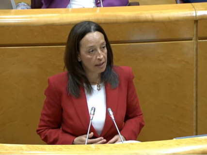 Susín defiende en el Senado la eficacia del modelo de dependencia en Aragón y exige mayor aportación estatal