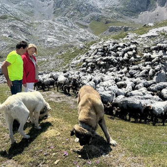 Ganadería empezará a pagar el viernes 3,2 millones en ayudas a 3.683 profesionales del campo