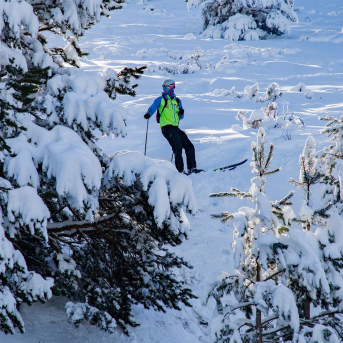 Personas practicando esquí durante la temporada de esquí en Navacerrada, a 20 de enero de 2026, en Madrid (España). Rafael Bastante - Europa Press