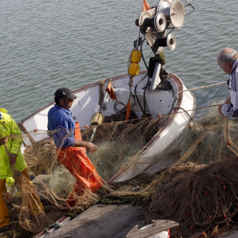La Generalitat lanzará este año siete millones en ayudas para las paradas biológicas del sector pesquero La Generalitat lanzará este año siete millones en ayudas para las paradas biológicas del sector pesquero