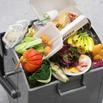 Desperdicio de alimentos. JUNTA DE ANDALUCÍA