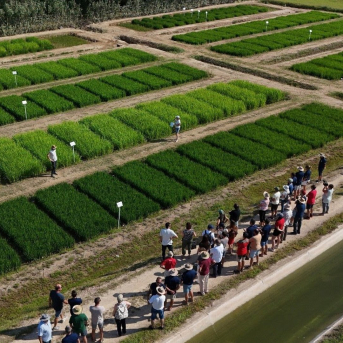 El Govern moviliza 10 millones en ayudas para impulsar la innovación agroalimentaria y forestal
