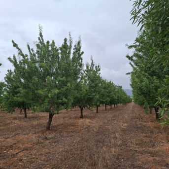 Luz verde a un convenio con Agricultura para la recogida de datos estadísticos del sector agrario en 2026 Luz verde a un convenio con Agricultura para la recogida de datos estadísticos del sector agrario en 2026