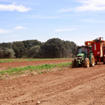 Asaja aplaude las ayudas del Govern al campo por la guerra en Irán pero exige simplicidad y rapidez